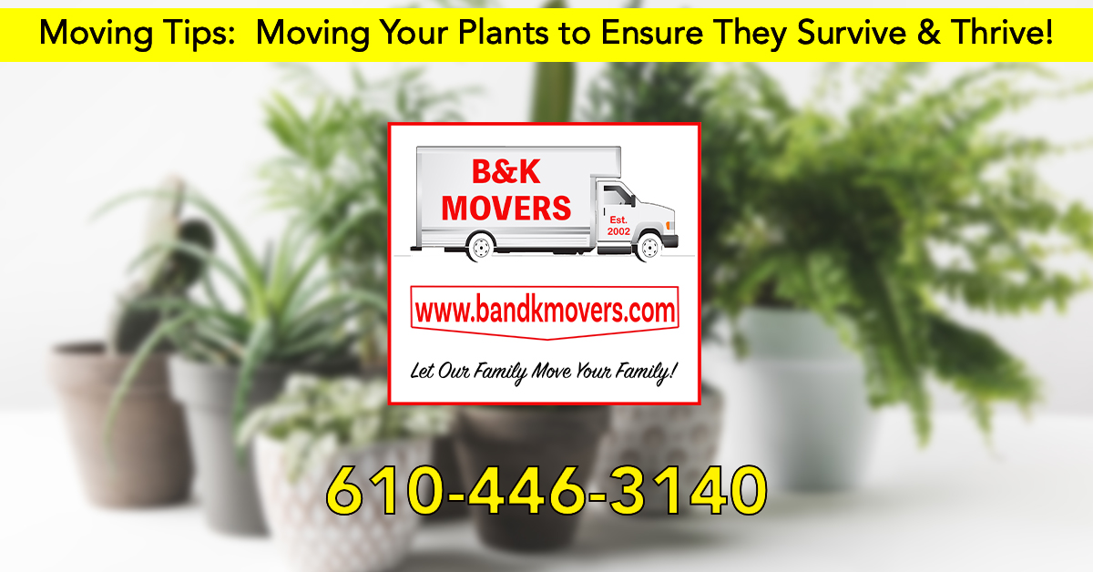 Moving Company Delco, Delco Movers, Moving Plants to Your New Home, Moving Plants